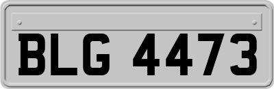 BLG4473