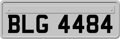 BLG4484