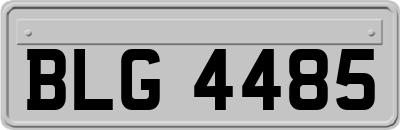 BLG4485