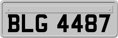 BLG4487