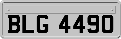 BLG4490