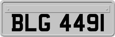 BLG4491