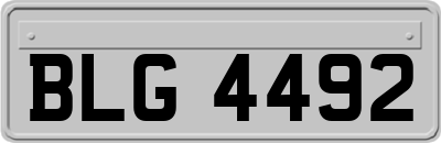 BLG4492