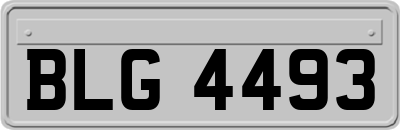 BLG4493