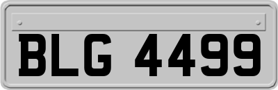 BLG4499