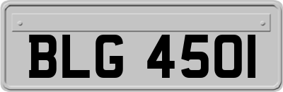 BLG4501
