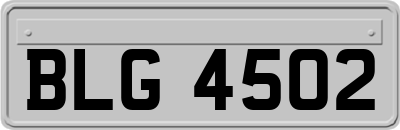BLG4502
