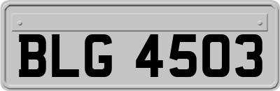 BLG4503