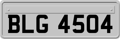 BLG4504