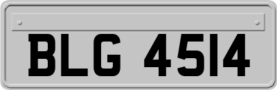 BLG4514