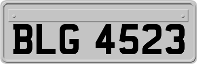 BLG4523