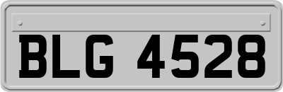 BLG4528