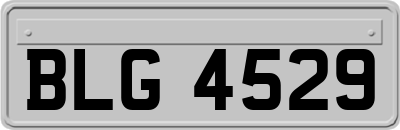 BLG4529