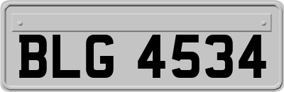 BLG4534