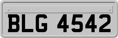 BLG4542
