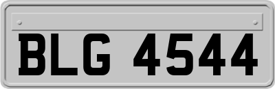 BLG4544