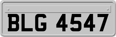 BLG4547