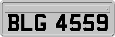 BLG4559
