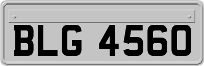 BLG4560