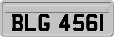 BLG4561