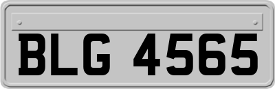BLG4565
