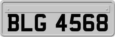 BLG4568