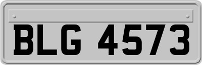 BLG4573