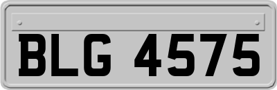BLG4575