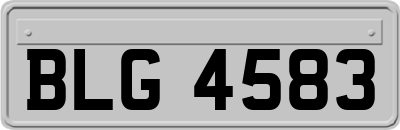 BLG4583