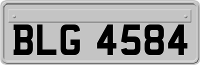 BLG4584