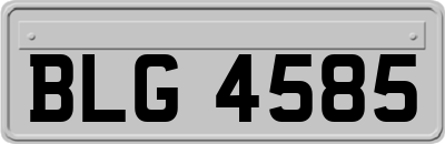 BLG4585