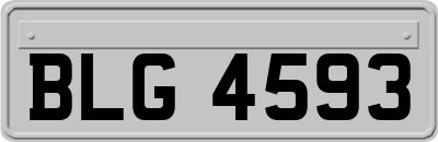 BLG4593