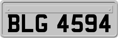 BLG4594