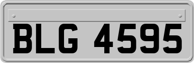 BLG4595