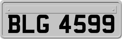 BLG4599