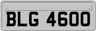 BLG4600