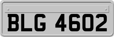 BLG4602