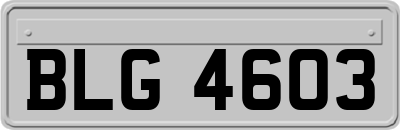 BLG4603