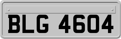 BLG4604