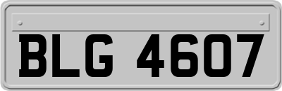 BLG4607