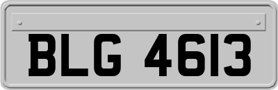 BLG4613