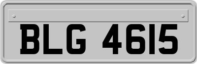 BLG4615