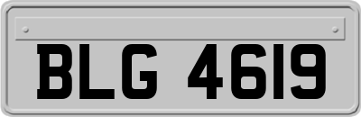 BLG4619