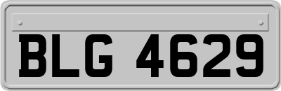 BLG4629