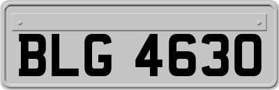 BLG4630