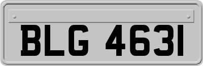 BLG4631
