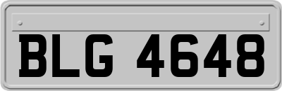 BLG4648
