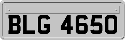 BLG4650
