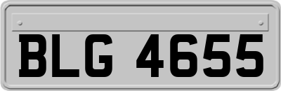 BLG4655
