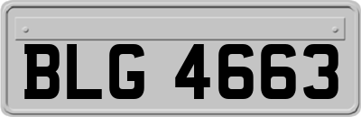 BLG4663